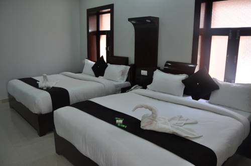 Imagen de la habitación del Hotel Krishna Ji. Foto 2