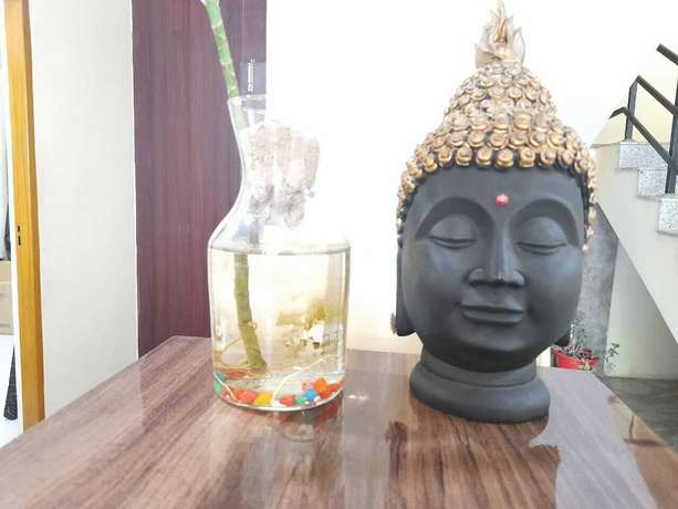 Imagen de los interiores del Hotel Krishna Rishikesh. Foto 16