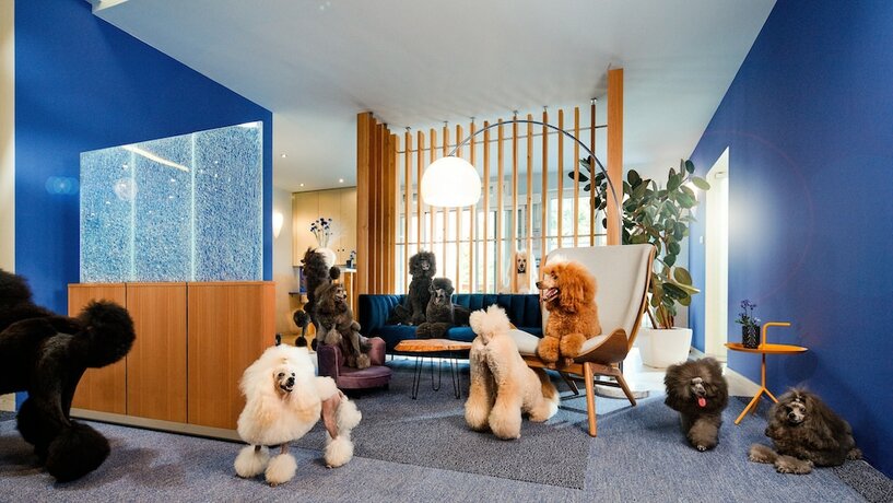 Imagen general del Hotel Kristallhotel Fettehenne. Foto 10