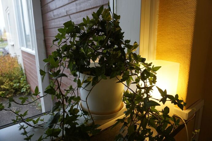 Imagen general del Hotel Kristinebergs Bed and Breakfast Mora. Foto 10