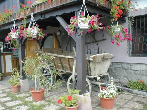 Imagen general del Hotel Krisztina Panzió. Foto 10