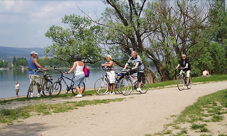 Imagen general del Hotel Krone, Bingen am Rhein. Foto 2