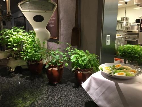 Imagen general del Hotel Kronen Gaard. Foto 5