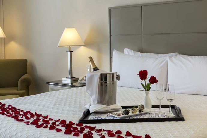 Imagen de la habitación del Hotel Krystal Urban Monterrey. Foto 9