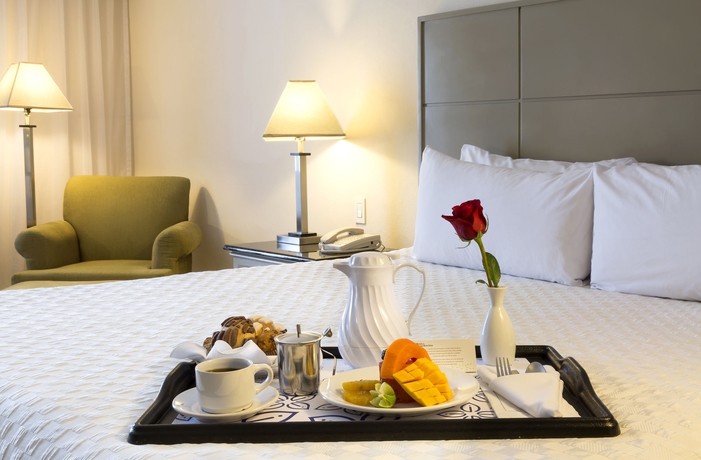 Imagen de la habitación del Hotel Krystal Urban Monterrey. Foto 10