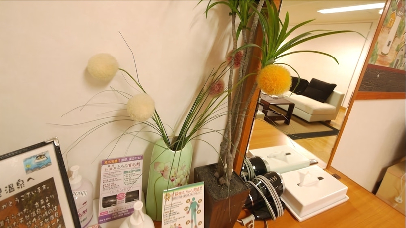 Imagen de la habitación del Hotel Ksb Yayoi No Sato Onsen. Foto 16