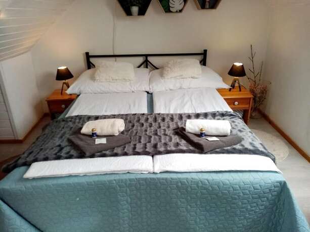 Imagen general del Hotel Kőszeghegyalja Vend&eacute;gh&aacute;z. Foto 8