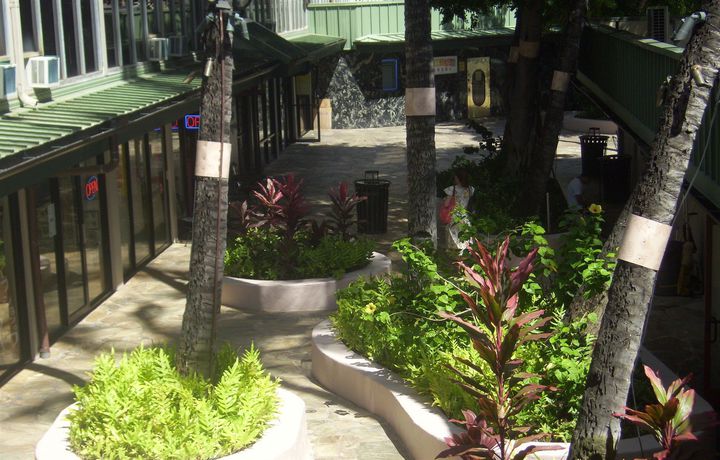 Imagen de los interiores del Hotel Kuhio Banyan Club. Foto 11