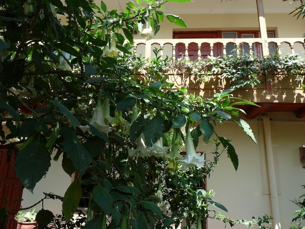 Imagen de los exteriores del Hotel Kukuli Lodge. Foto 12