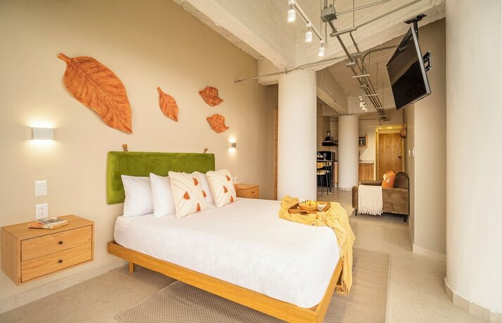 Imagen general del Hotel Kukun Insurgentes Roma. Foto 5