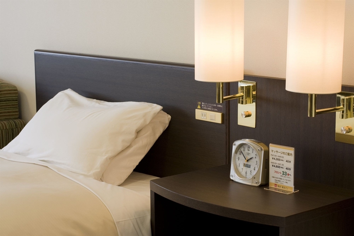 Imagen de la habitación del Hotel Kumamoto Tokyu Rei. Foto 4