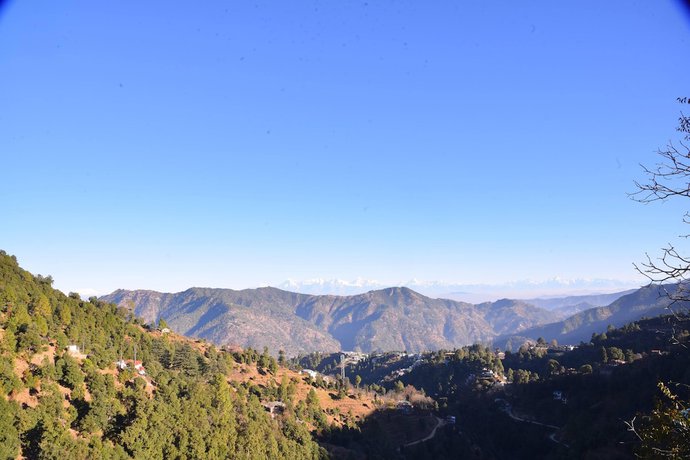 Imagen general del Hotel Kumaon Roop Resort. Foto 6