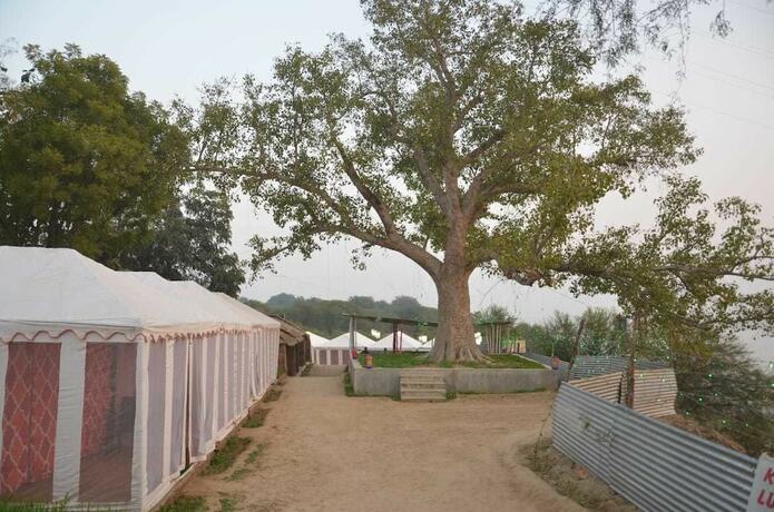 Imagen general del Hotel Kumbh Luxury Tents. Foto 11