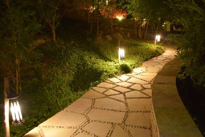 Imagen de la habitación del Hotel Kumbhalgarh Forest Retreat. Foto 26