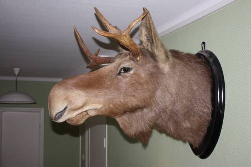 Imagen de la habitación del Hotel Kungsbacken. Foto 5