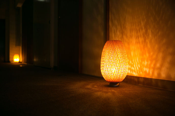 Imagen de la habitación del Hotel Kunisakiso. Foto 6