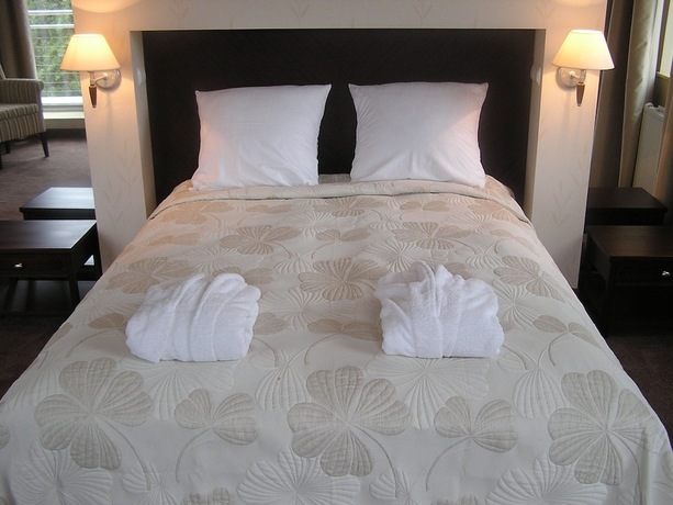 Imagen de la habitación del Hotel Kuracyjny. Foto 21