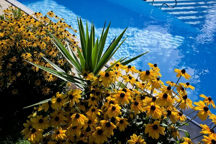 Imagen general del Hotel Kurhaus Dr. Petershofer. Foto 14