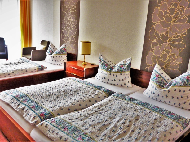 Imagen de la habitación del Hotel Kurhotel Am Kurpark. Foto 2