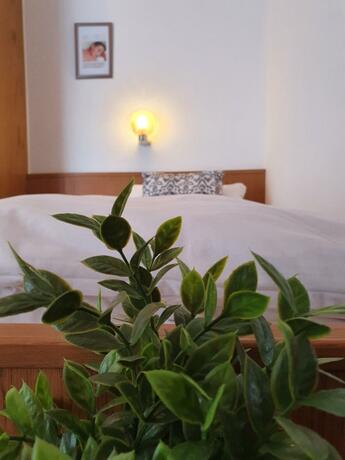 Imagen general del Hotel Kurhotel Anders. Foto 3