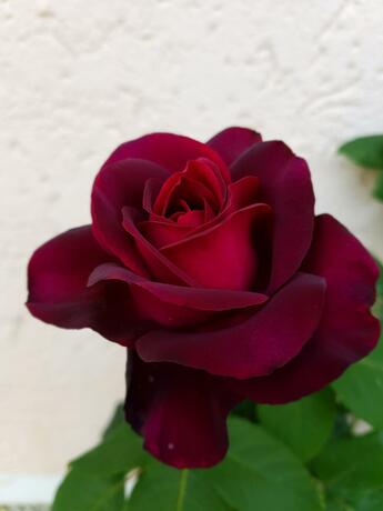 Imagen general del Hotel Kurhotel Anders. Foto 4