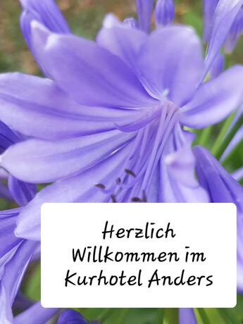 Imagen general del Hotel Kurhotel Anders. Foto 16