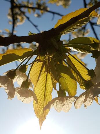 Imagen general del Hotel Kurhotel Anders. Foto 18