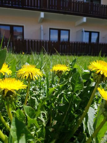 Imagen general del Hotel Kurhotel Anders. Foto 21