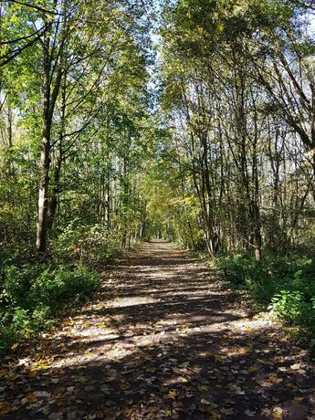 Imagen general del Hotel Kurhotel Anders. Foto 24