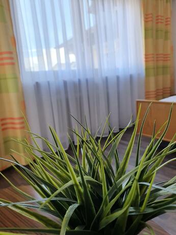 Imagen general del Hotel Kurhotel Anders. Foto 30