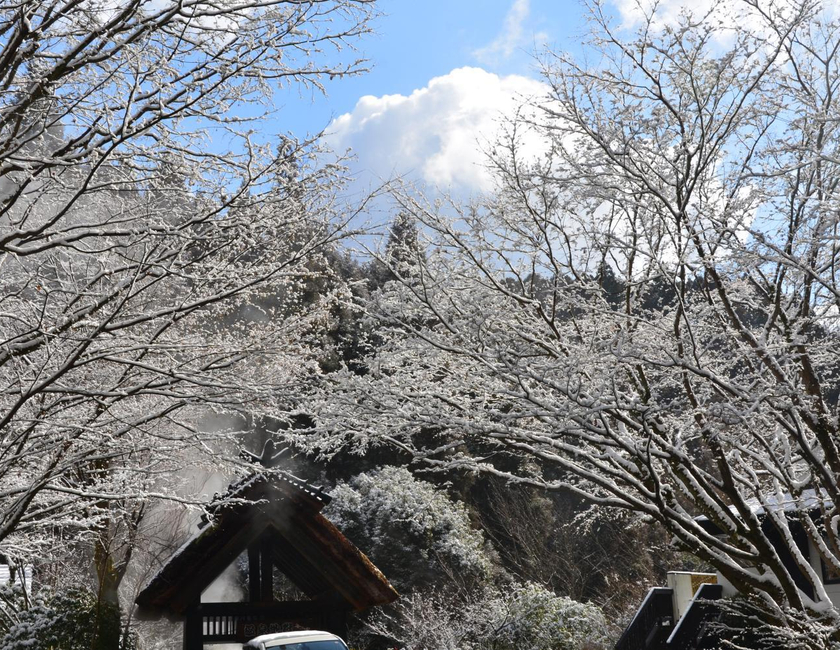 Imagen general del Hotel Kurokawa Onsen Oku No Yu. Foto 18