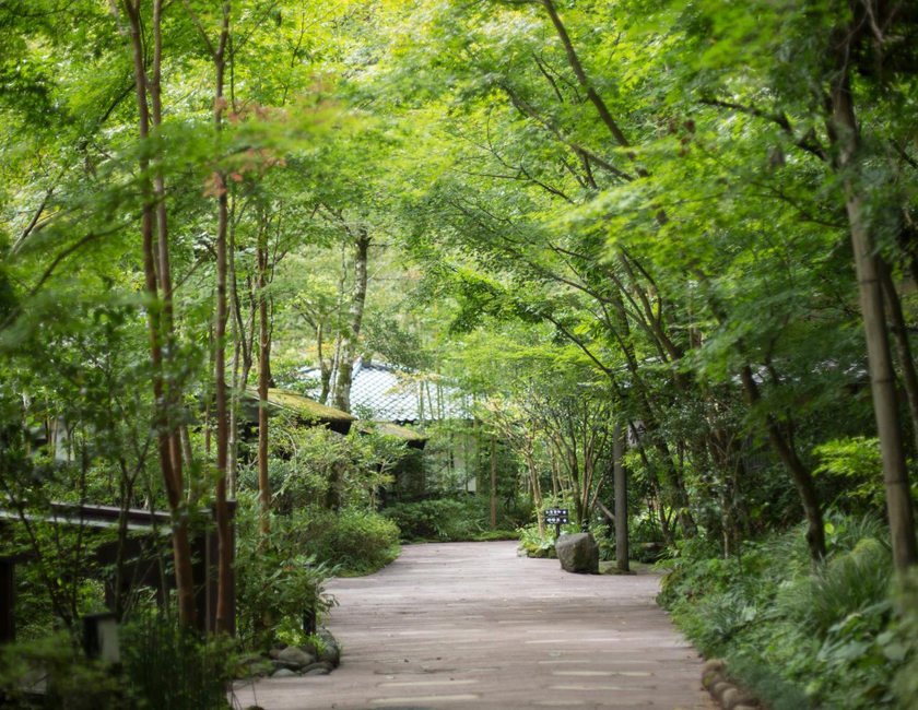 Imagen general del Hotel Kurokawa Onsen Oku No Yu. Foto 23