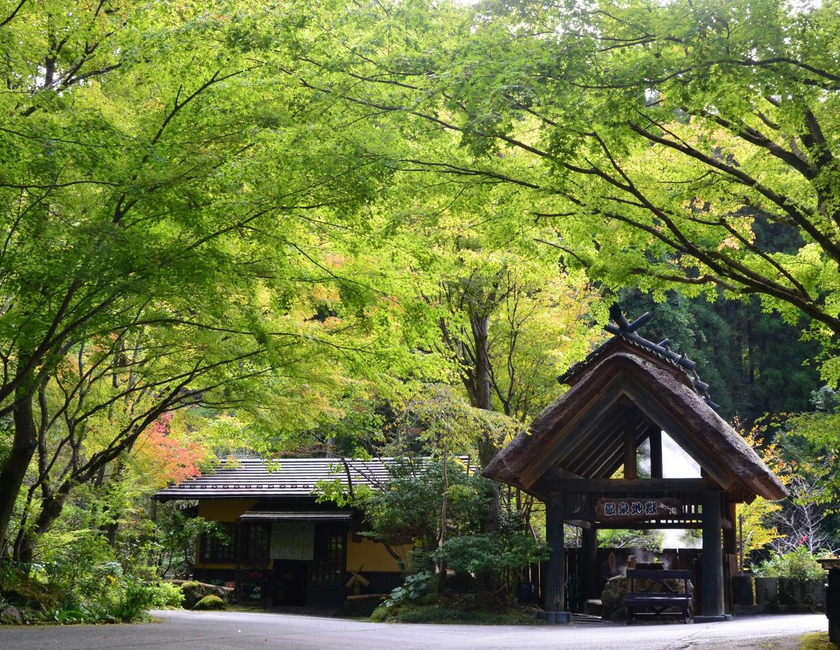 Imagen general del Hotel Kurokawa Onsen Oku No Yu. Foto 25