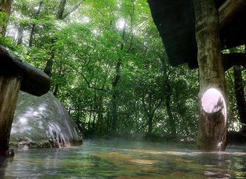 Imagen de los exteriores del Hotel Kurokawa Onsen Oyado Noshiyu. Foto 5