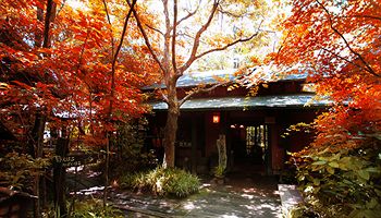 Imagen de la piscina del Hotel Kurokawa Onsen Oyado Noshiyu. Foto 14