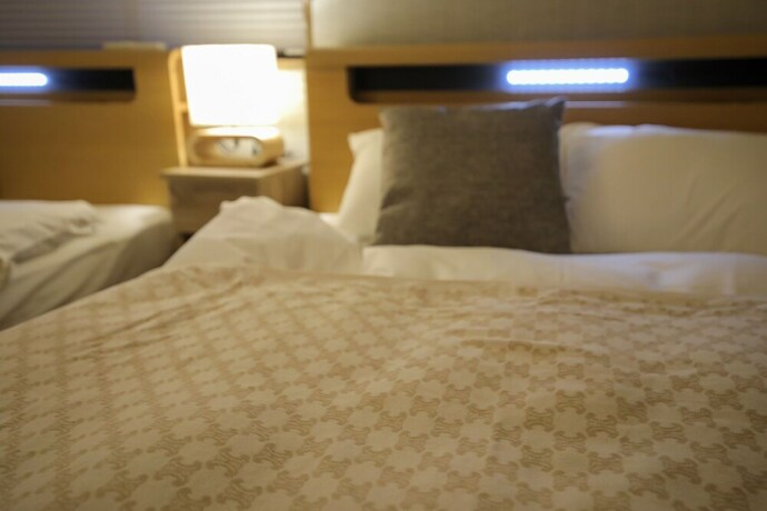 Imagen de la habitación del Hotel Kuromon Hibiki. Foto 22