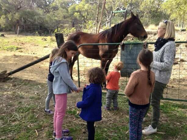 Imagen general del Hotel Kurrajong Trails and Cottages. Foto 7