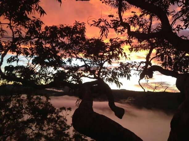 Imagen general del Hotel Kurrajong Trails and Cottages. Foto 10