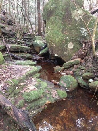 Imagen de los exteriores del Hotel Kurrajong Trails and Cottages. Foto 34