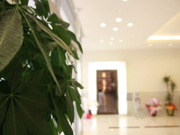 Imagen de los interiores del Hotel Kurume Esprit. Foto 15