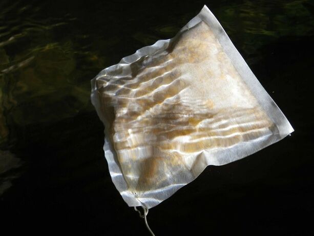 Imagen general del Hotel Kurumizawa Ryokan. Foto 7