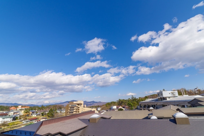 Imagen de la habitación del Hotel Kusatsu Onsen Daitokan. Foto 3