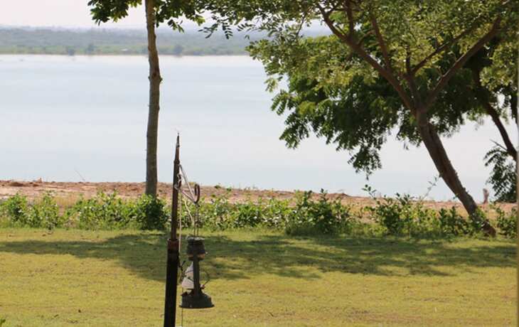 Imagen general del Hotel Kutch Safari Resort. Foto 9