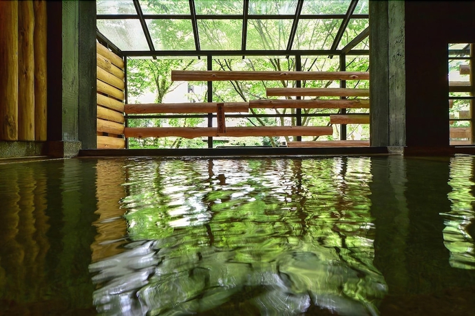 Imagen de la piscina del Hotel Kutsurogijuku Shintaki. Foto 18