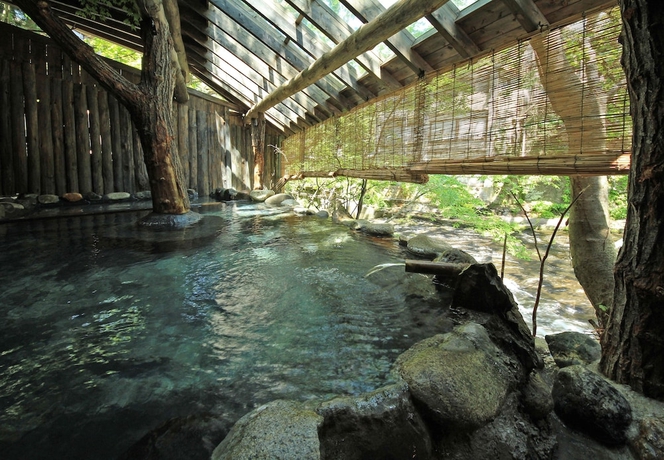 Imagen general del Hotel Kutsurogijuku Shintaki. Foto 6