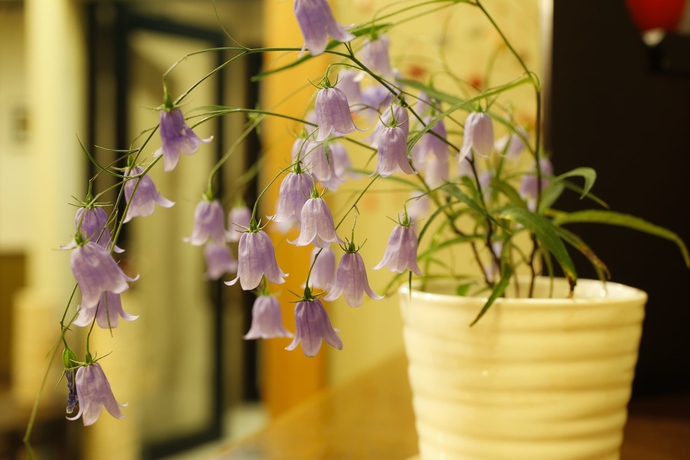 Imagen de los interiores del Hotel Kutsuroginoya Yuu. Foto 14