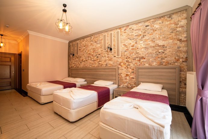 Imagen de la habitación del Hotel Kuzey Park Arc en Ciel. Foto 5