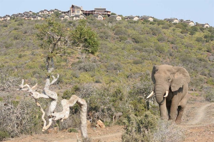 Imagen de los exteriores del Hotel Kuzuko Lodge. Foto 9