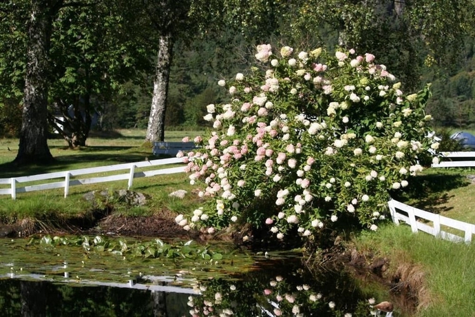 Imagen de los exteriores del Hotel Kv&aring;stunet. Foto 11