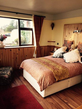 Imagen de la habitación del Hotel Kylemore Pass. Foto 3